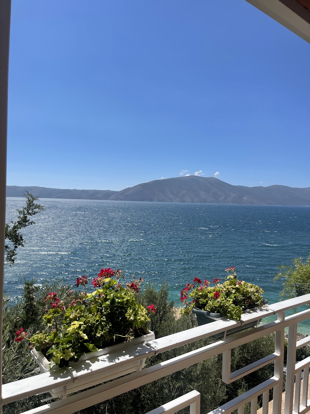 Envi Hotel photo 3