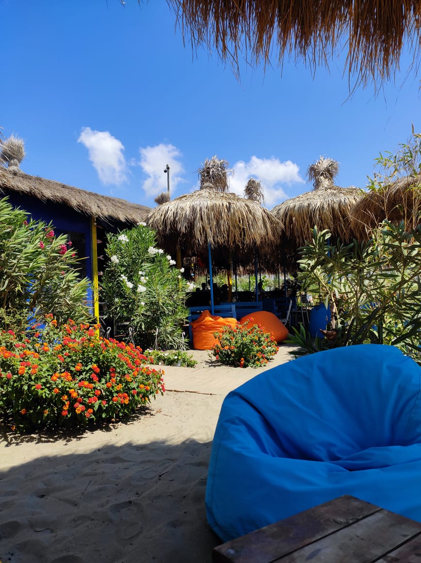 Paradise Tropical photo 5