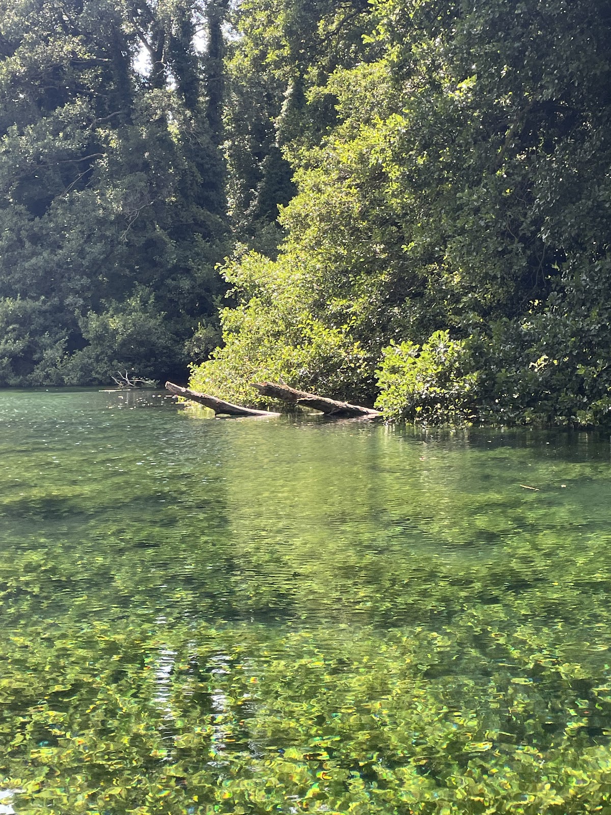 Enjoyable Sight Of Springs photo 4