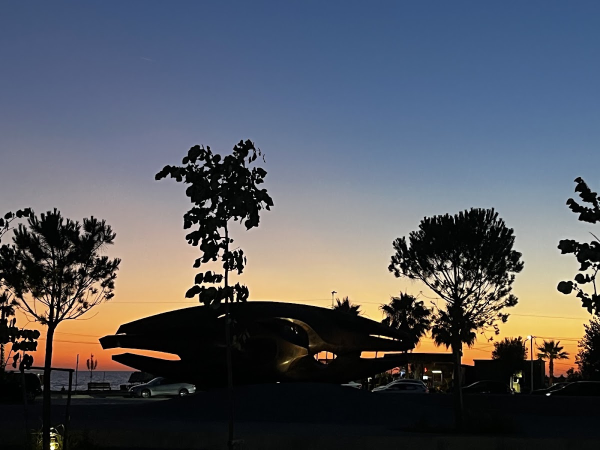 Meteor photo 4