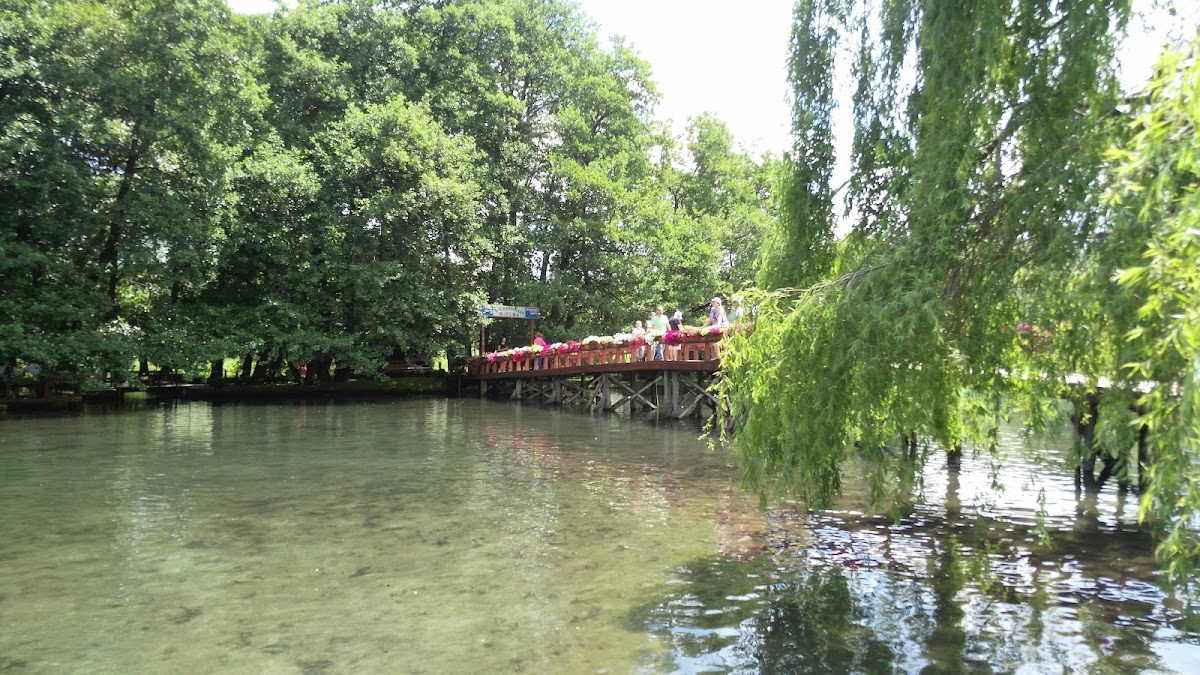 National Park of Drilon — Atraksione në Pogradec — photo 4