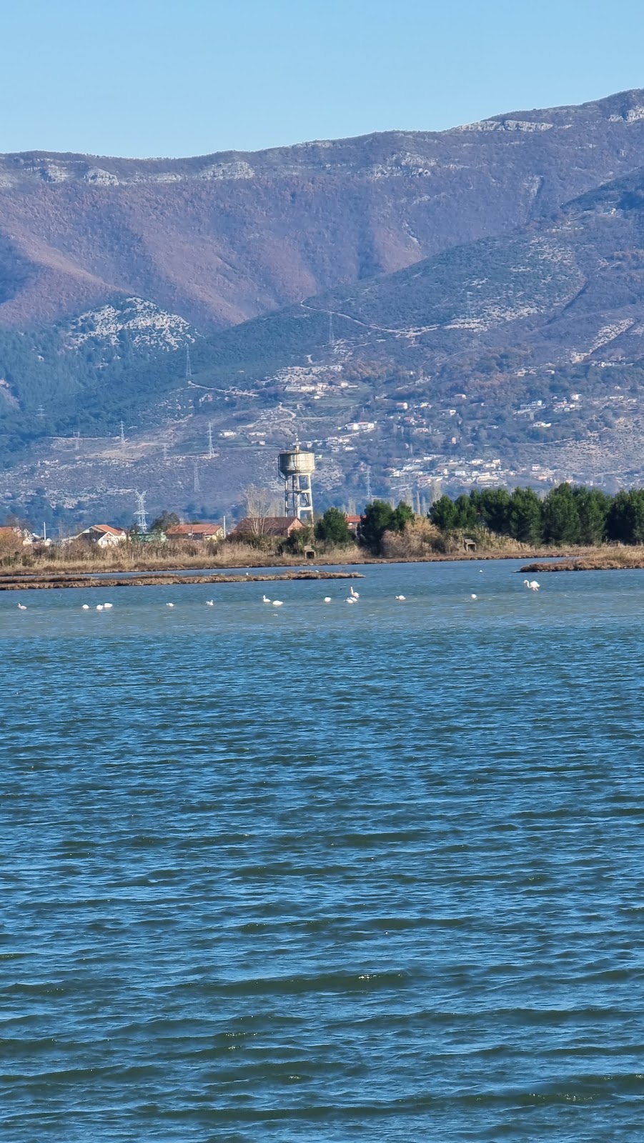 Patok Lagoon (Fushë Kuqe, Albania) photo 3