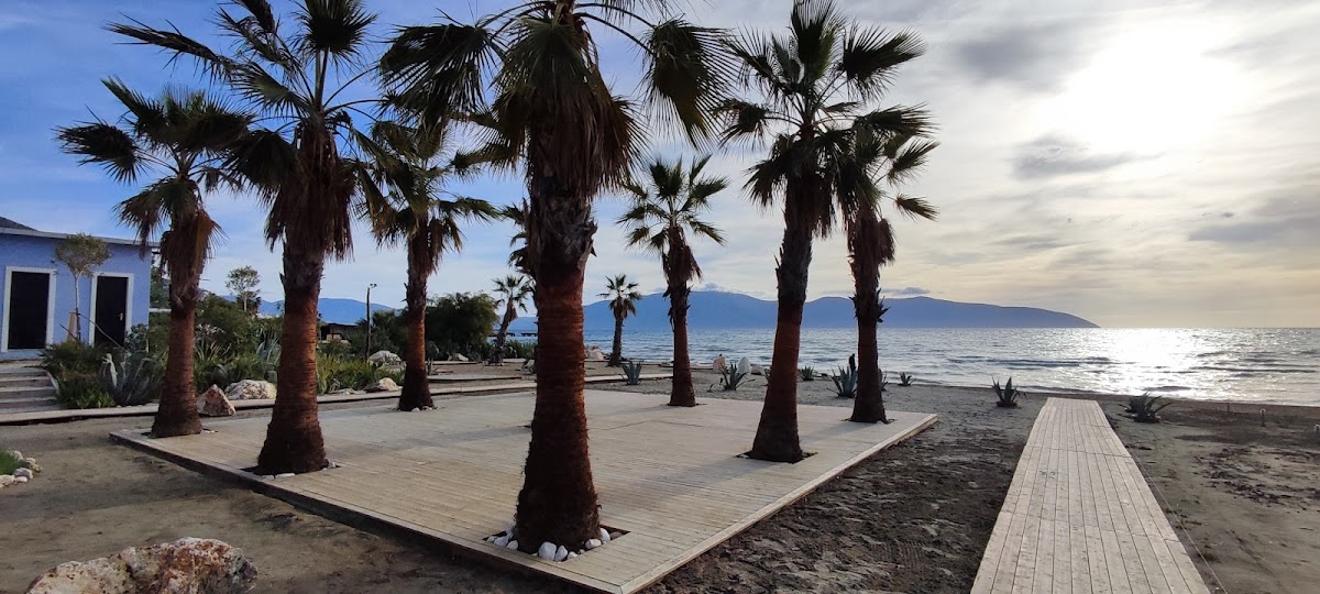 Nelsy walkbeach