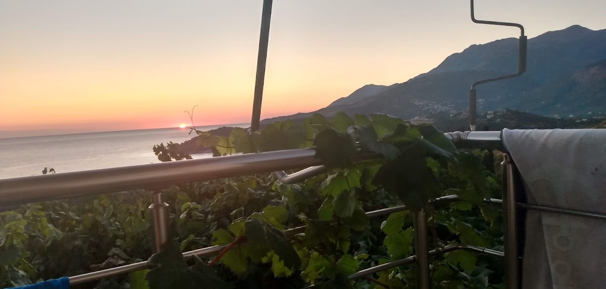 Guesthouse Plagia photo 4
