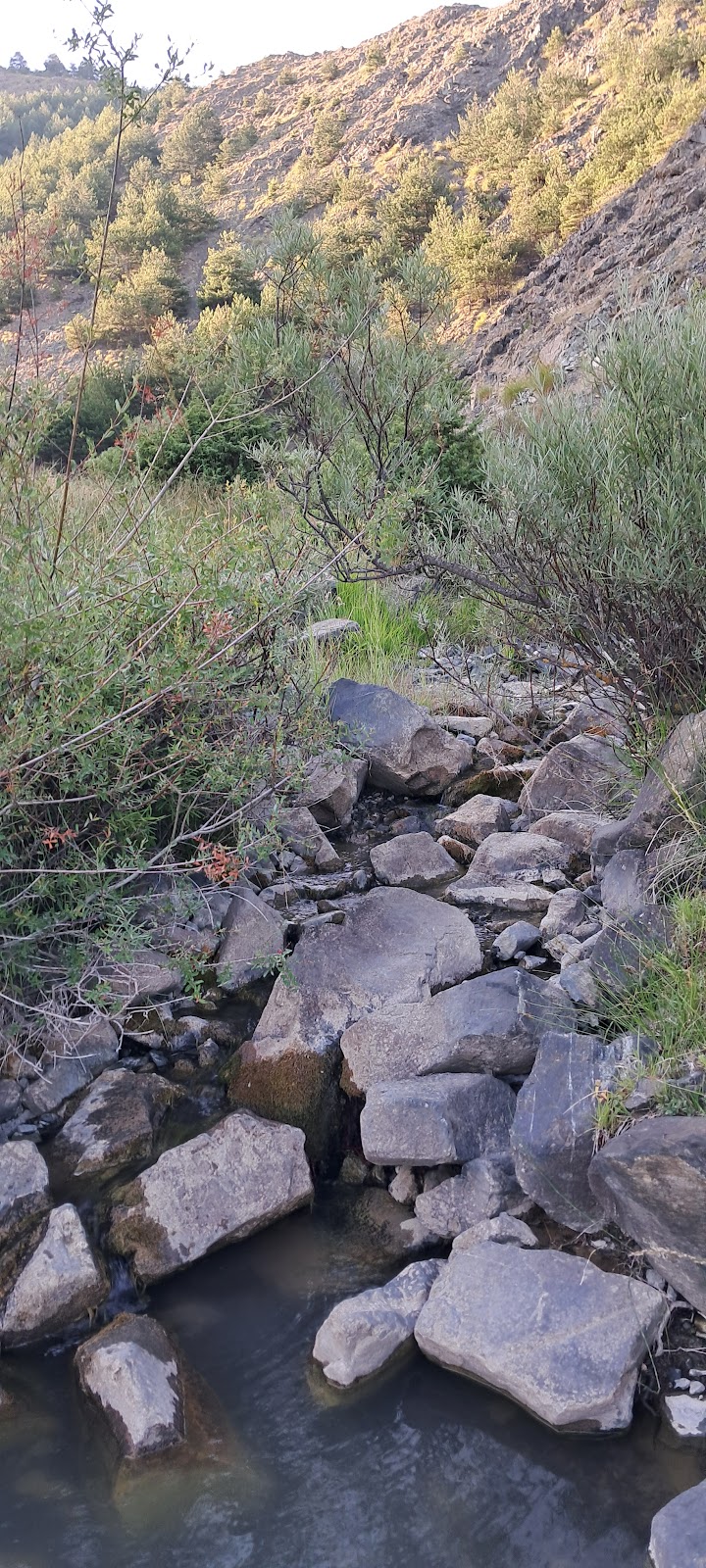 ÇARDHAK / Morava Mountain highest point photo 3