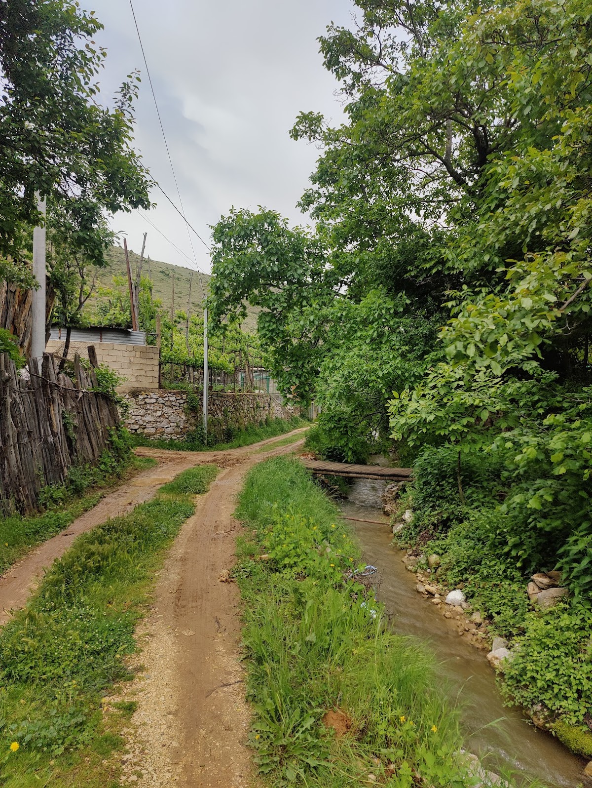 Village house view photo 5