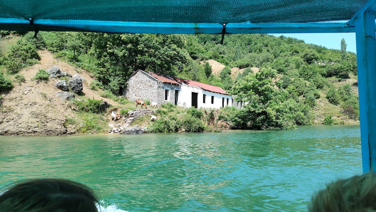 Koman photo 4