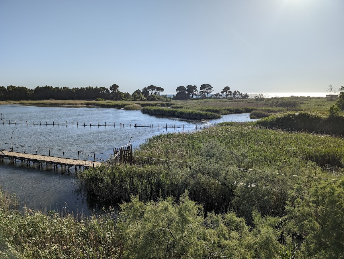 Kune-Vain-Tale Reserve photo 5
