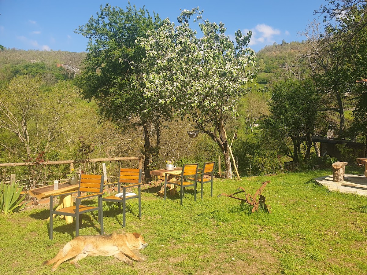 Camping Tent - Albania Organic photo 4