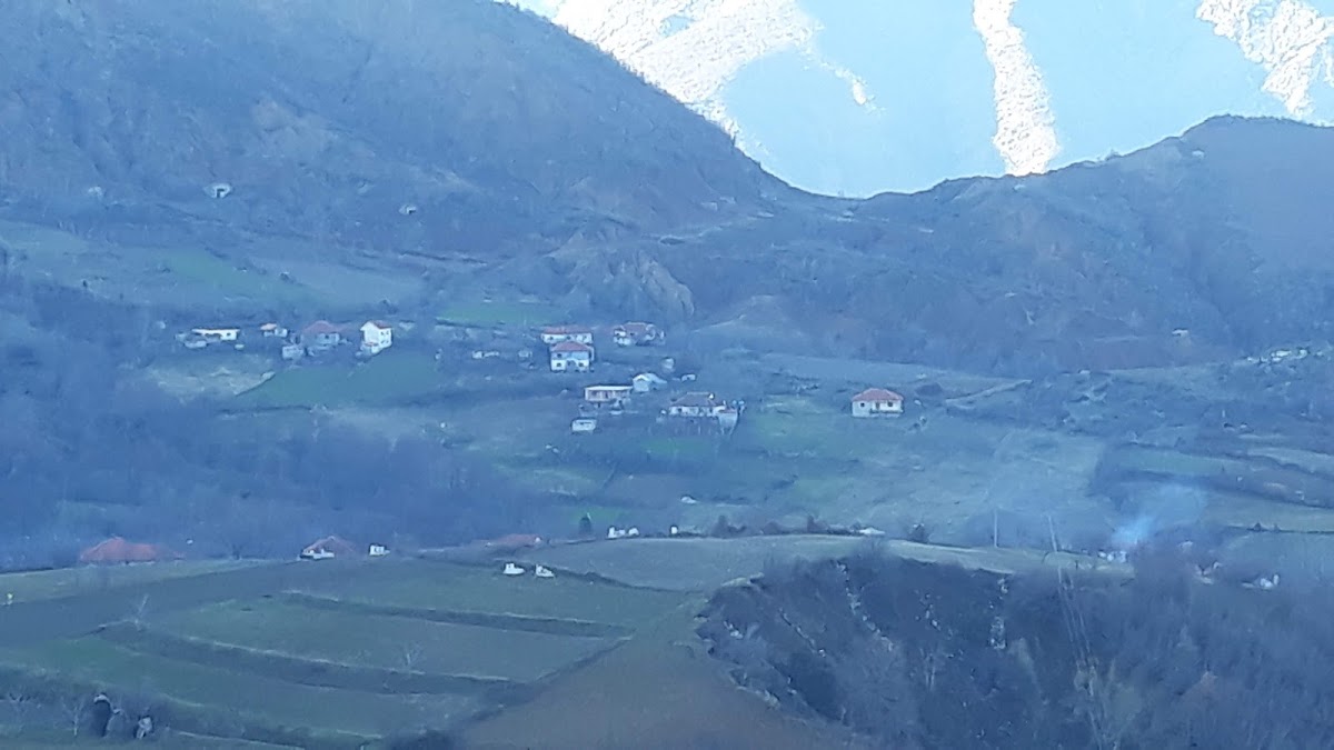 Derven photo 5