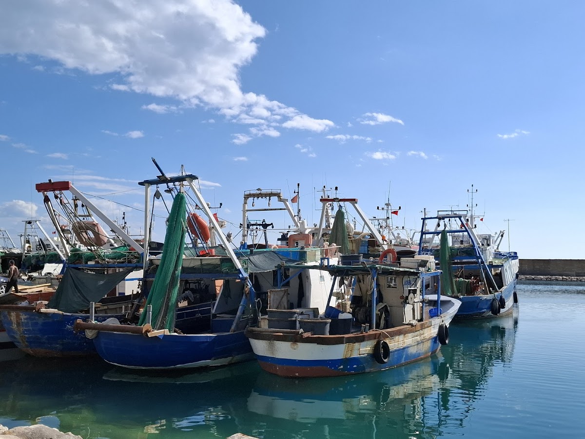 Port of Durrës — Atraksione në Durrës — photo 4