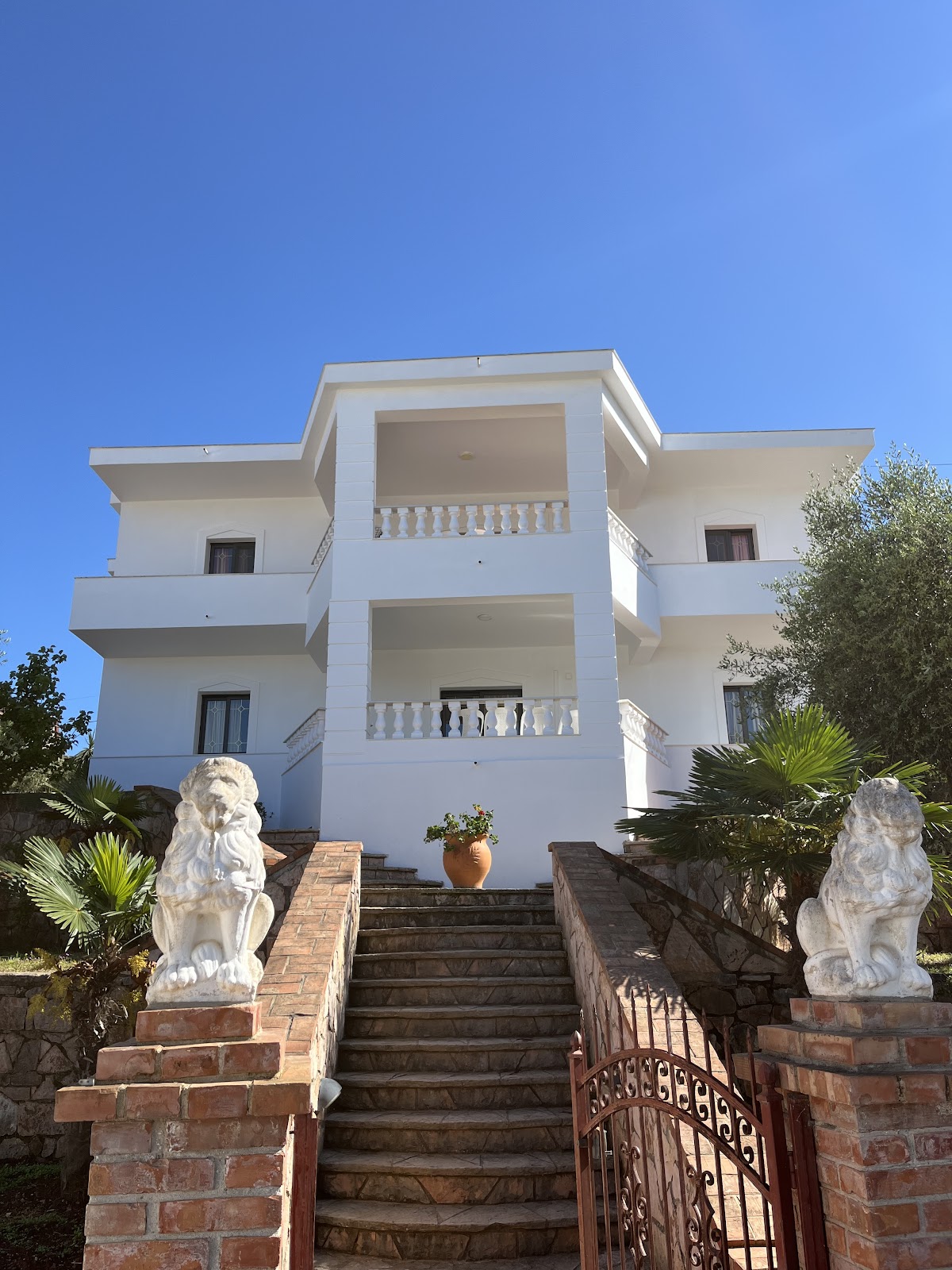 Villa Lions photo 3