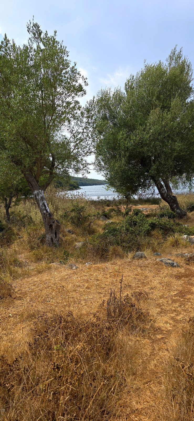 Bay of Butrint photo 5