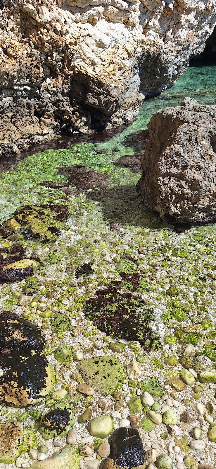Eni’s Bay photo 3