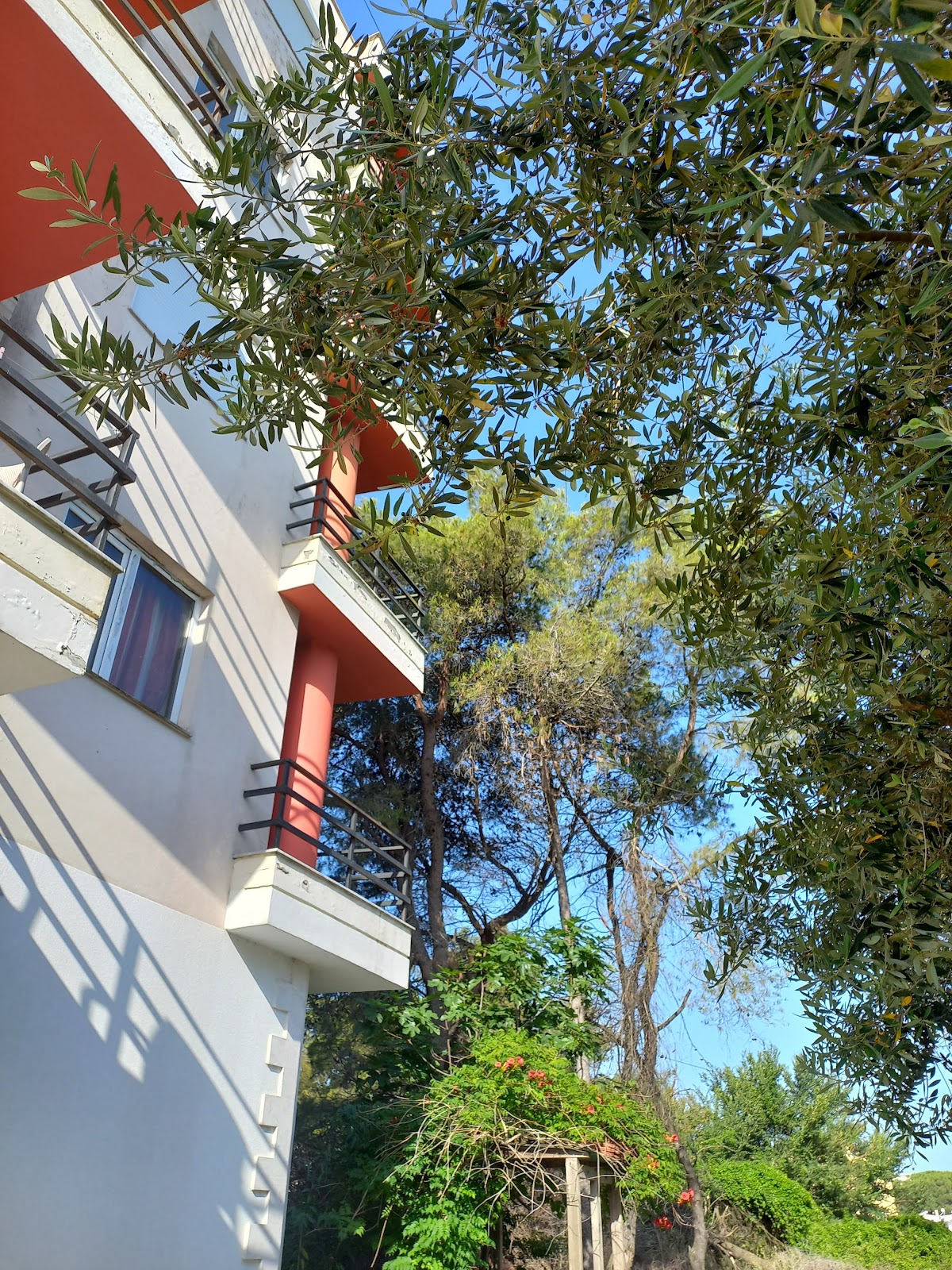 Holidays Home for Tourists photo 2