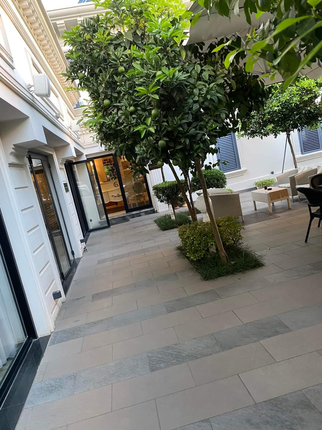 Green House Hotel & Restaurant — Hotele & Akomodim në Tiranë — photo 5