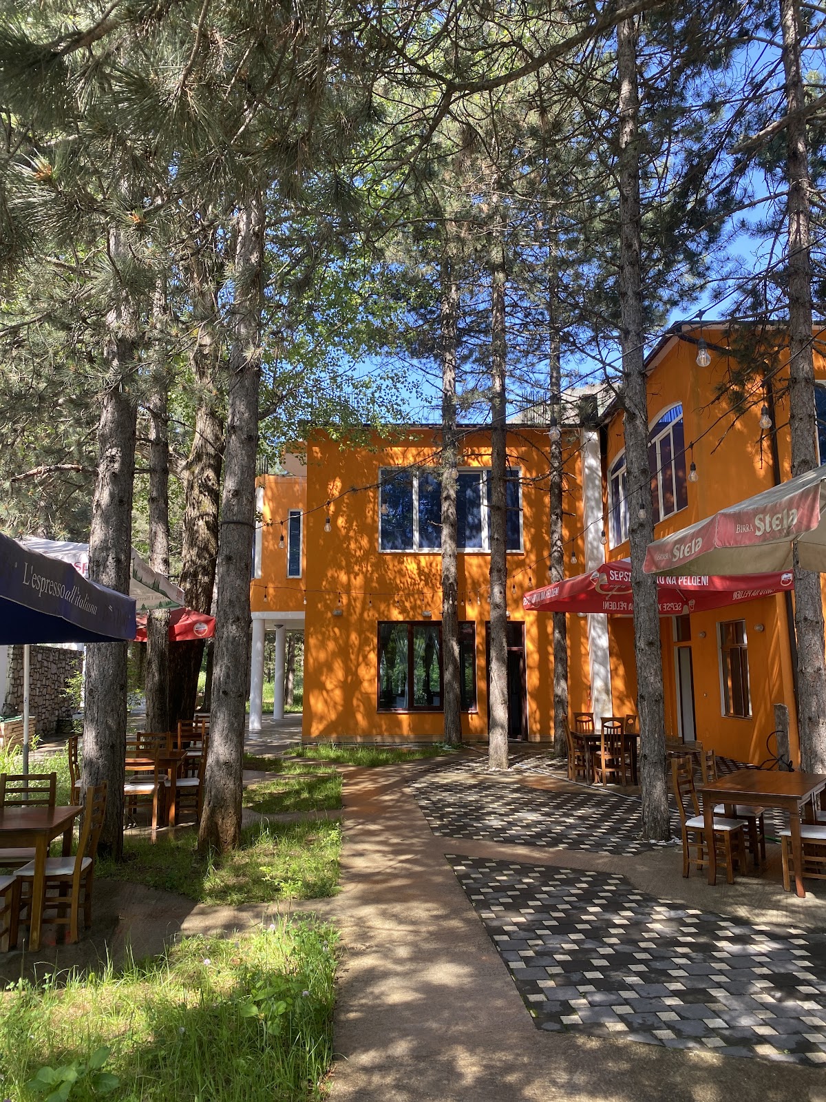 Bar Restorant ViSi Pishat photo 4