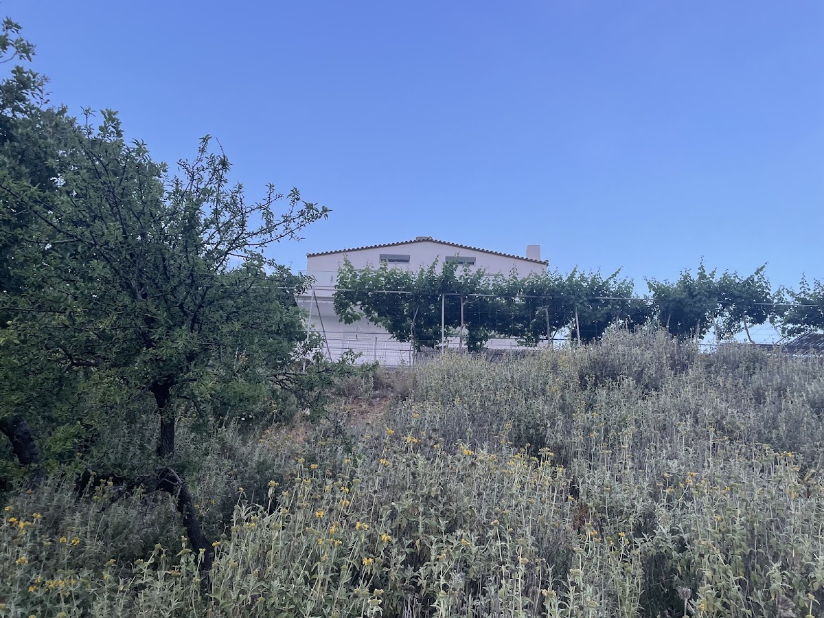 Guesthouse Plagia photo 2