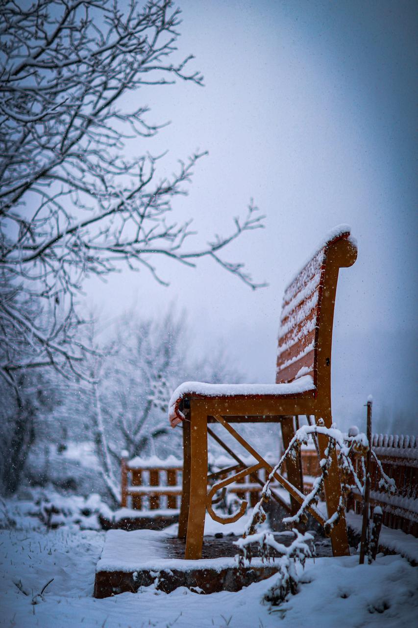 The Red Chair photo 2