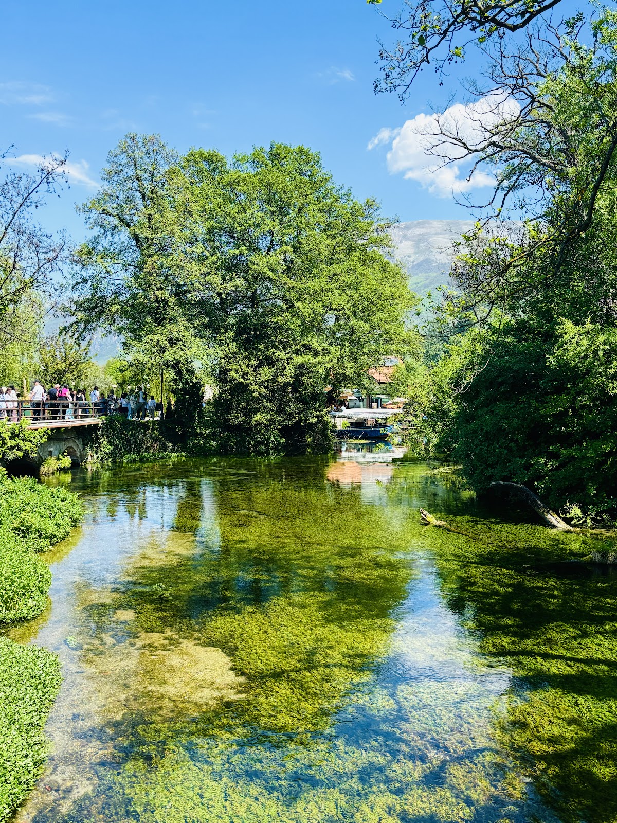 Black Drin River Springs photo 4