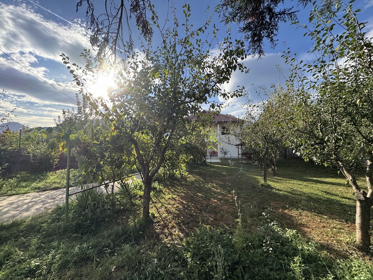 Vila Curri photo 2