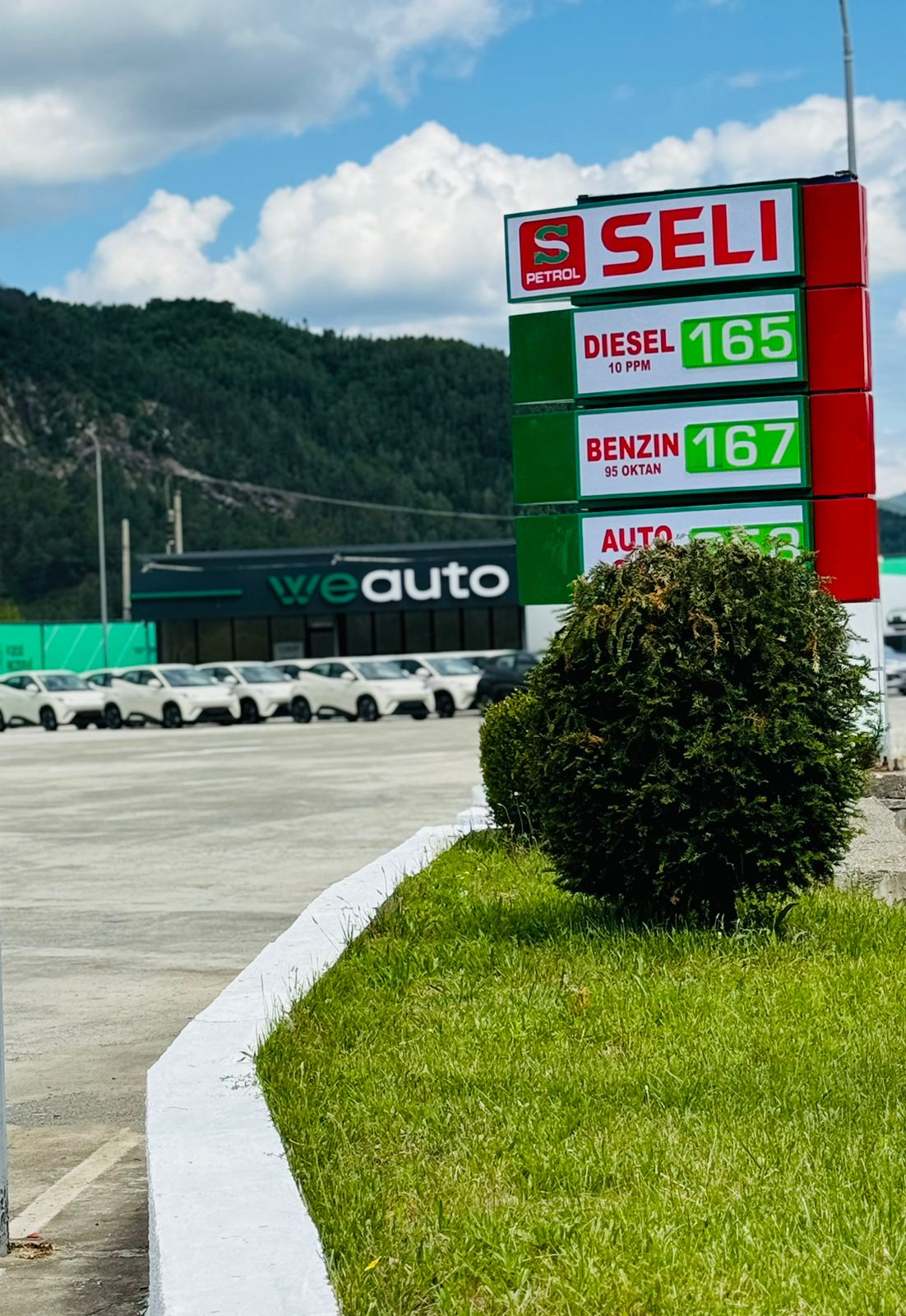 SELI PETROL photo 2