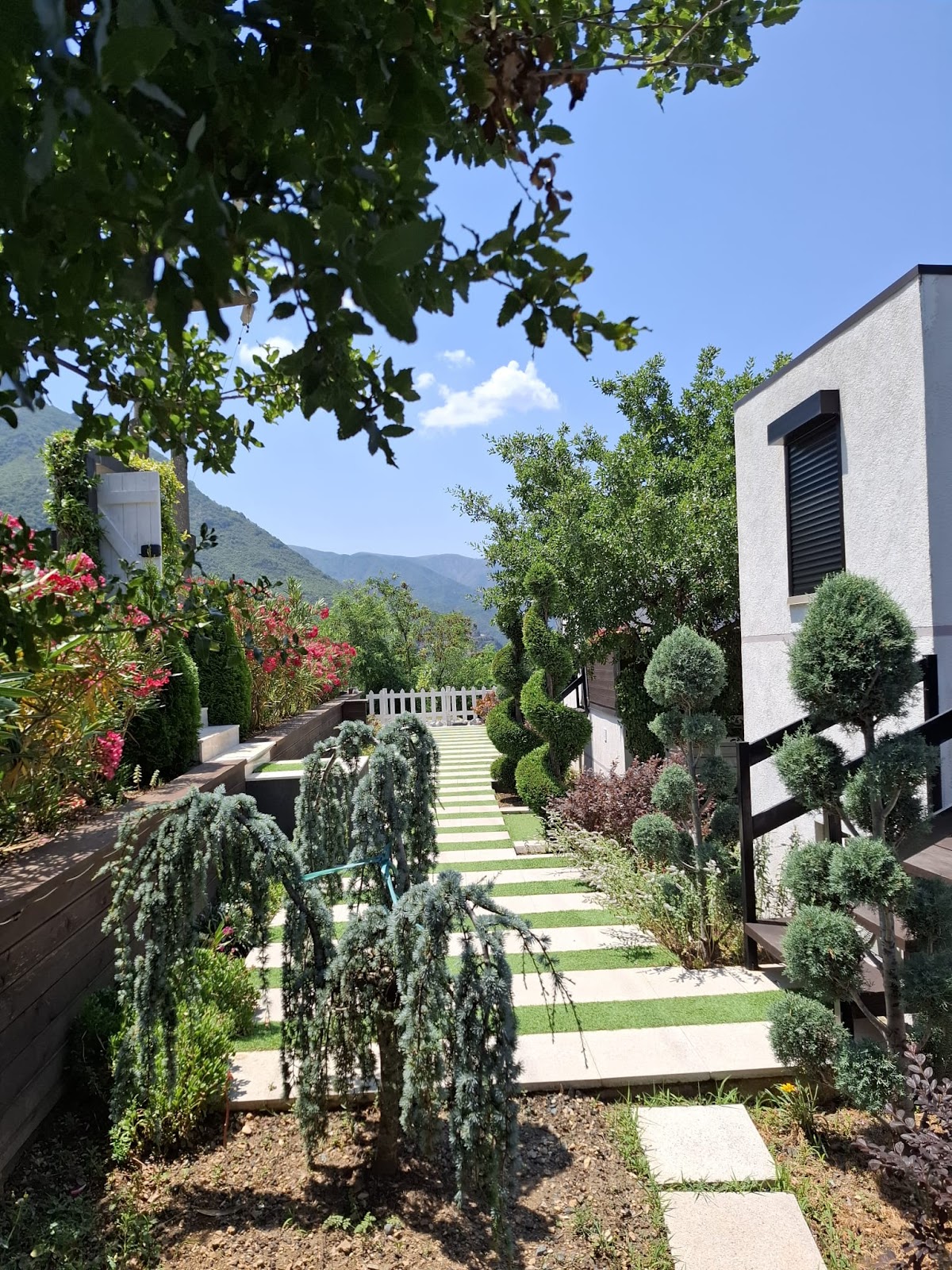 Koman Paradise