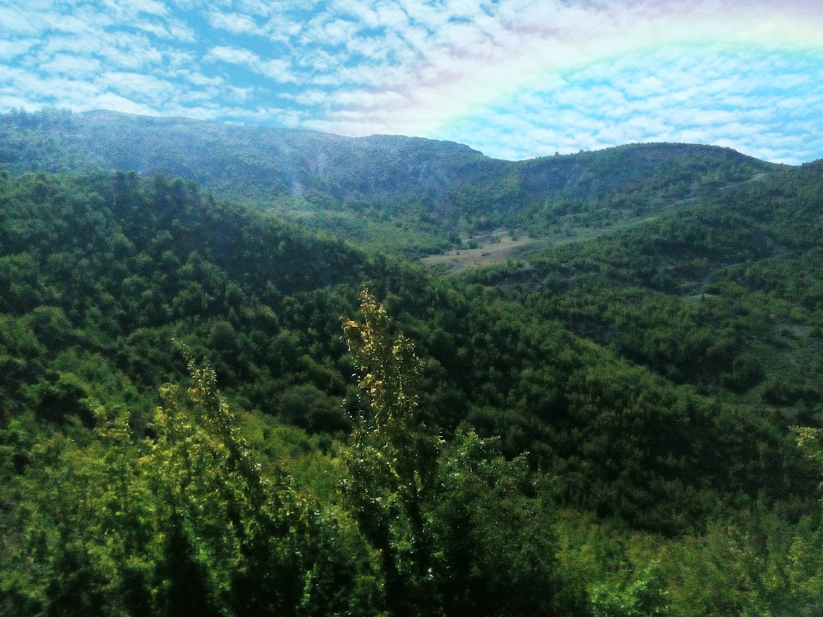 Derven photo 4
