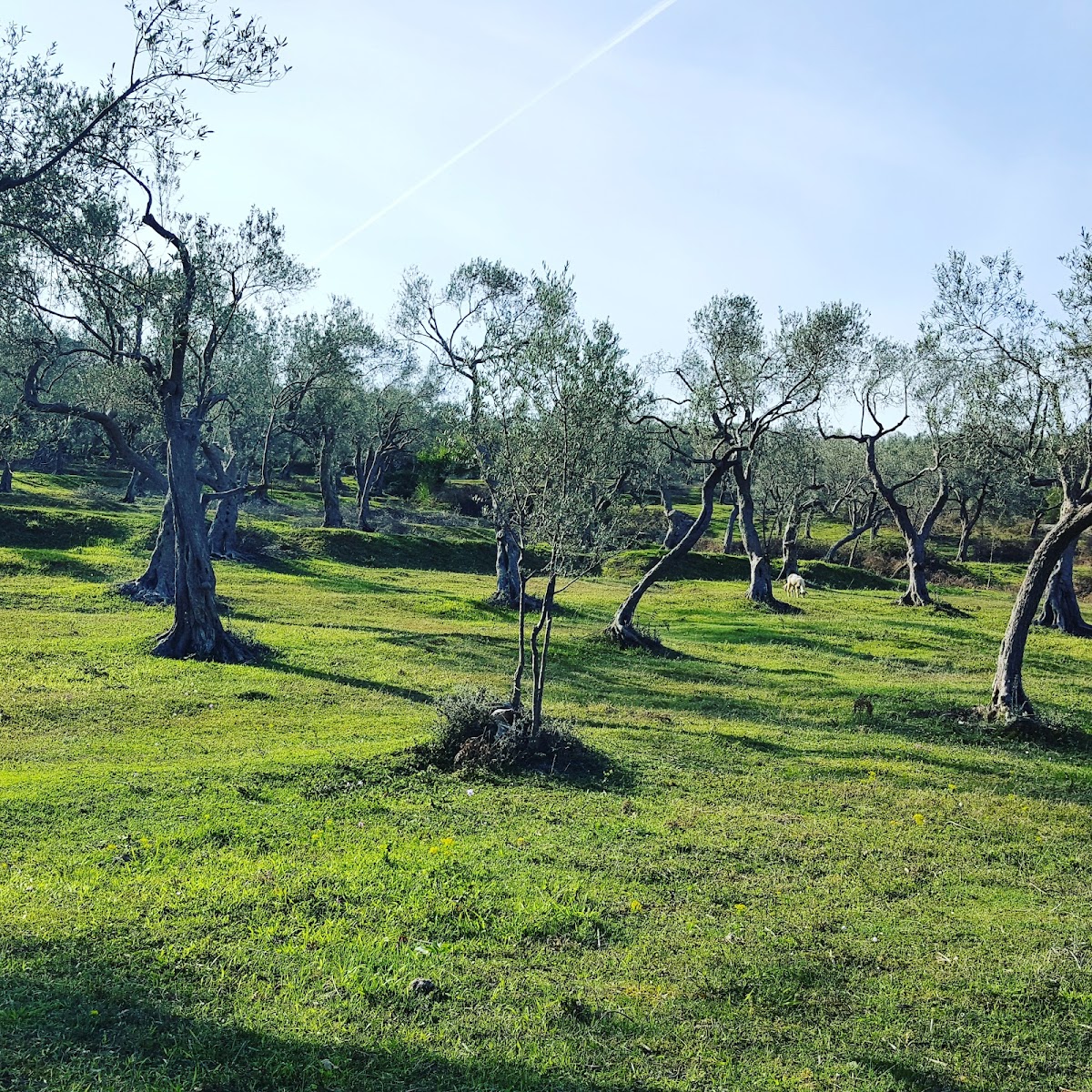 Bardhi Farm photo 2