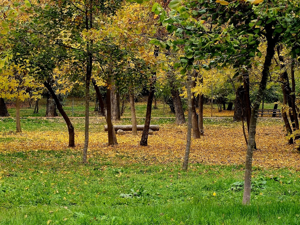 Parku Taukbashçe photo 4
