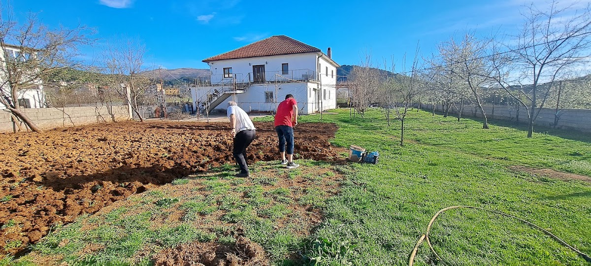 Lajthiza e Vogel photo 2