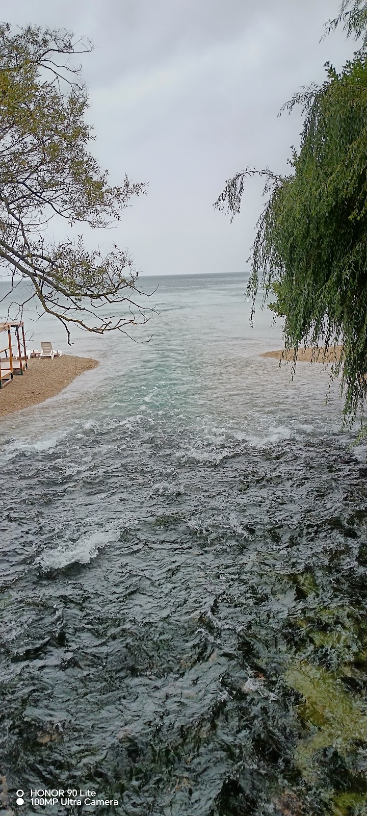 Viewpoint Springs photo 5