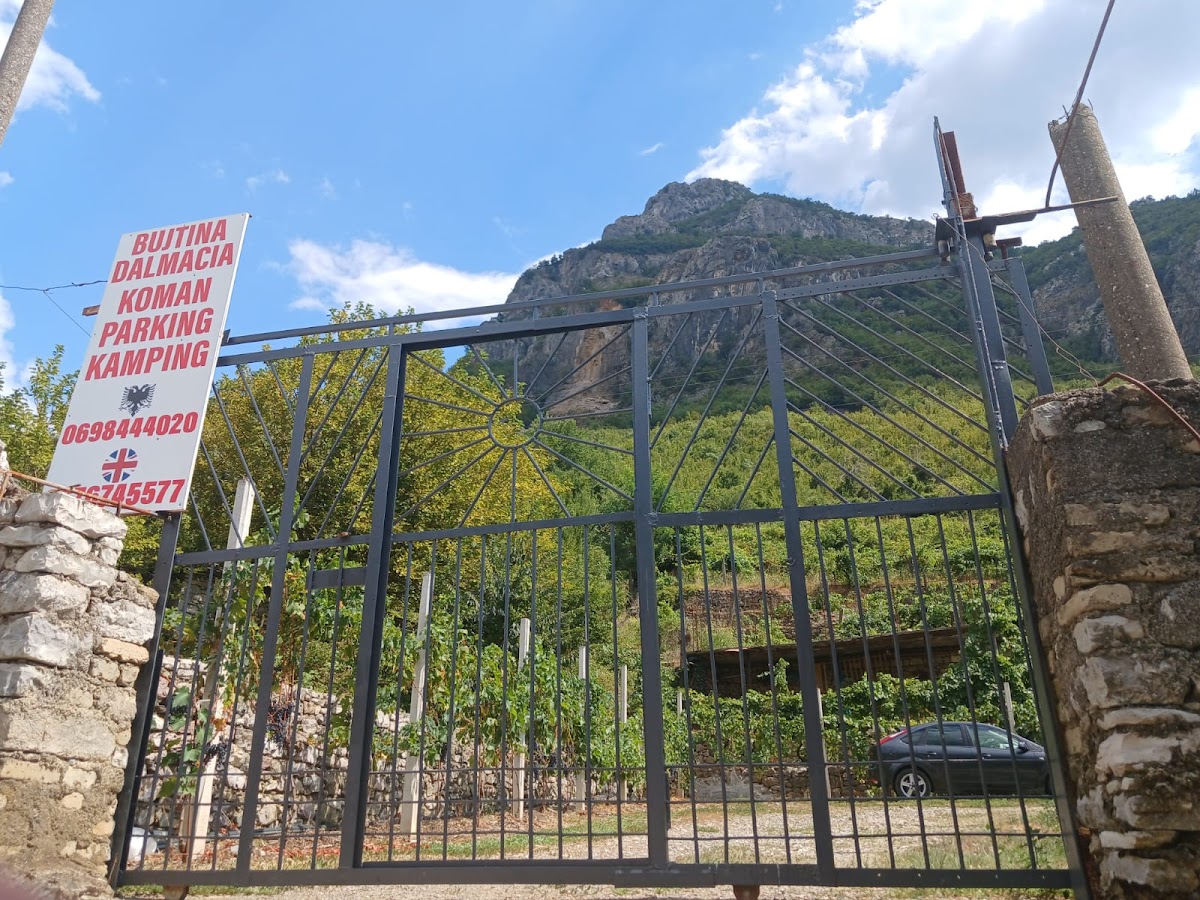 BUJTINA DALMACIA KOMAN