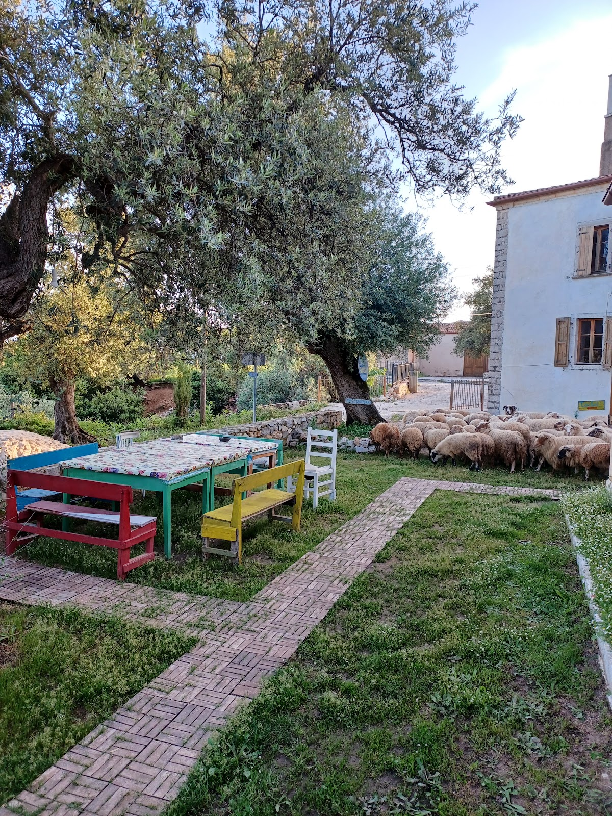 Shkolla Hostel
