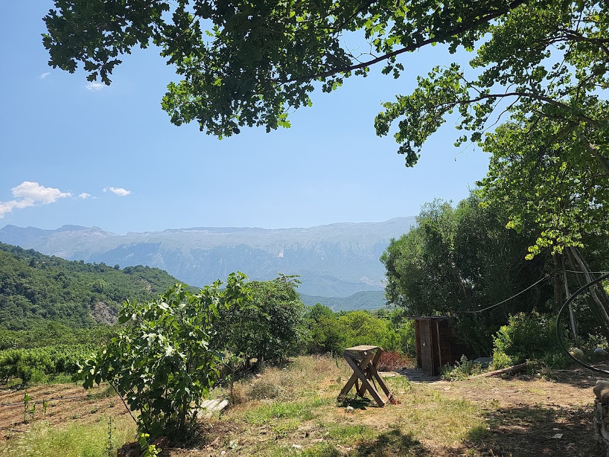 Lugina e Bënjës photo 3