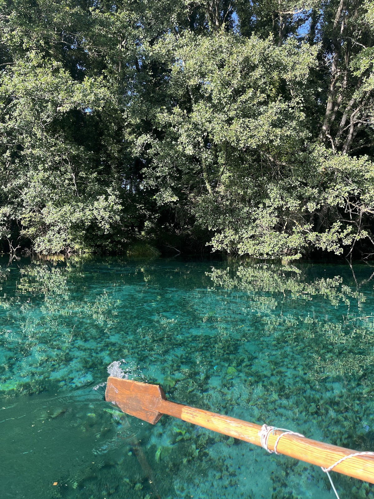 Viewpoint Springs photo 2