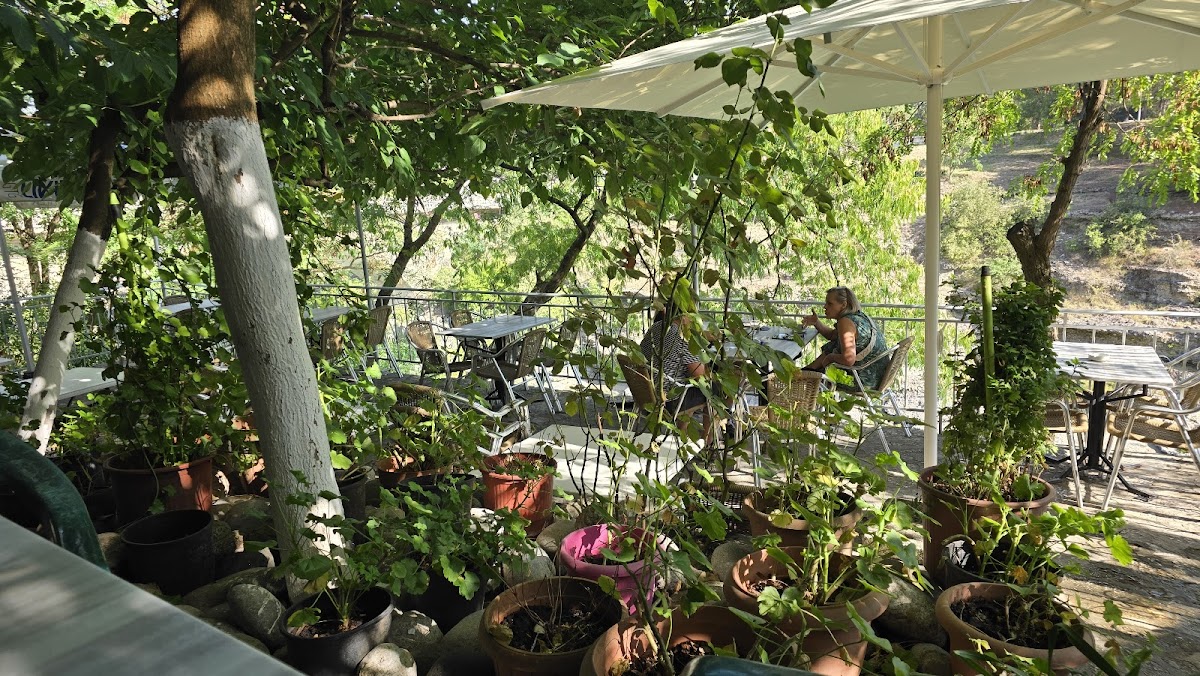 Bar Cafe Freskia photo 4