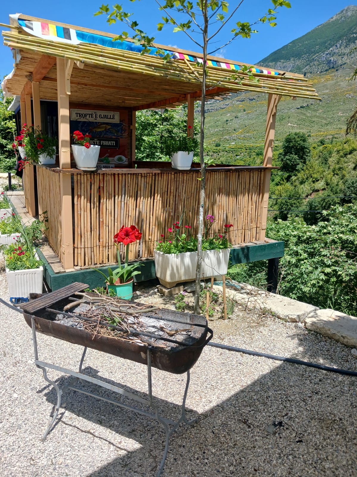 Gledisa Fresh Fish & Barbeque