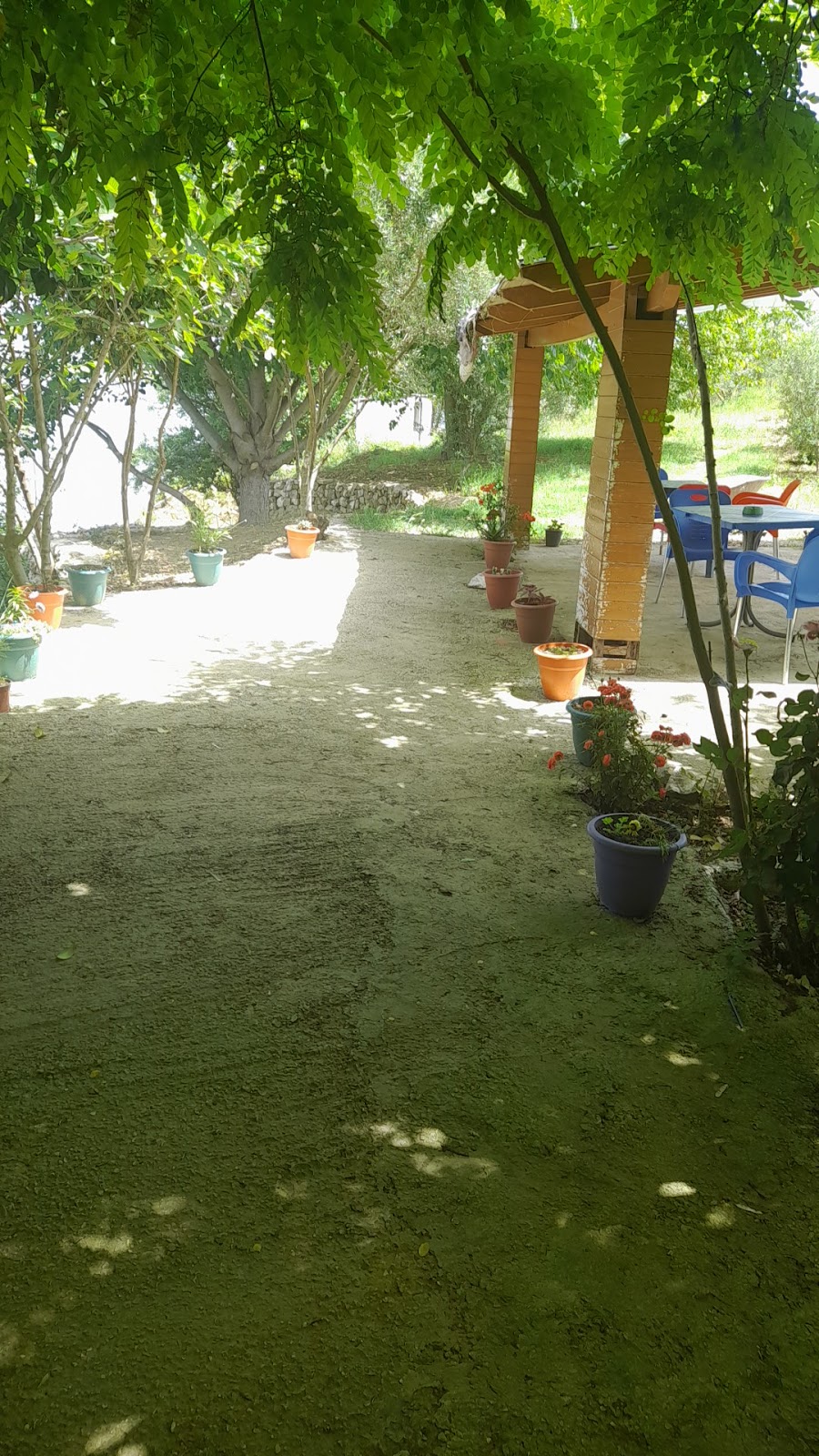 Cafe photo 3