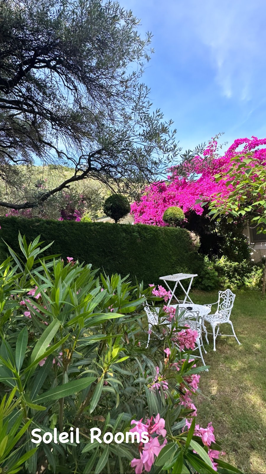 Soleil Village photo 4