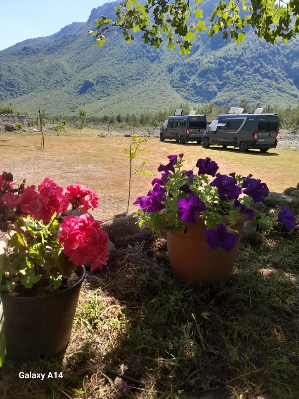 Kamping te “Konaku” photo 3