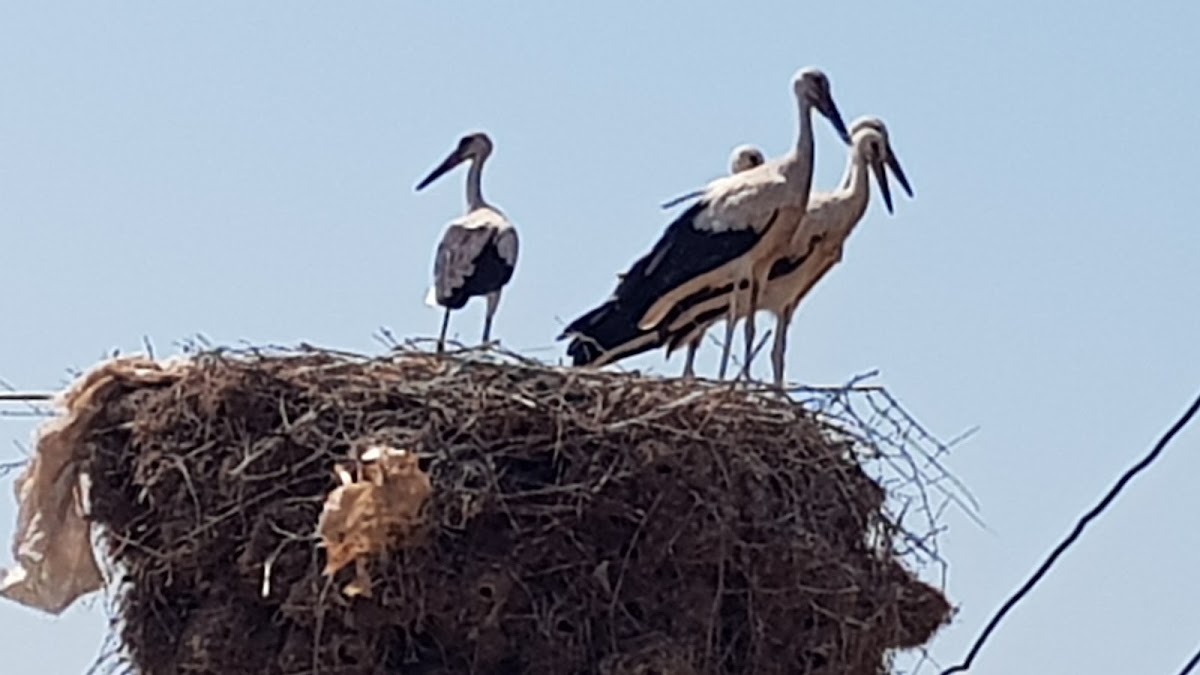 Qendra e fshatit Bajkaj photo 4