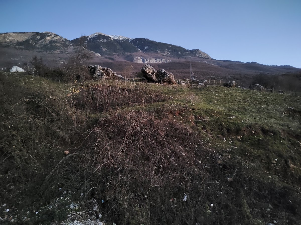 Kodra e Vokës photo 4