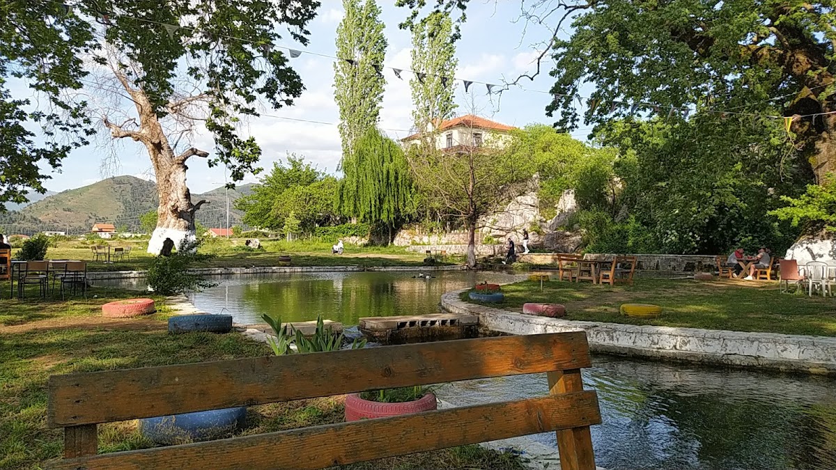 Restorant "BALLKONI BYSHEKUT" photo 5