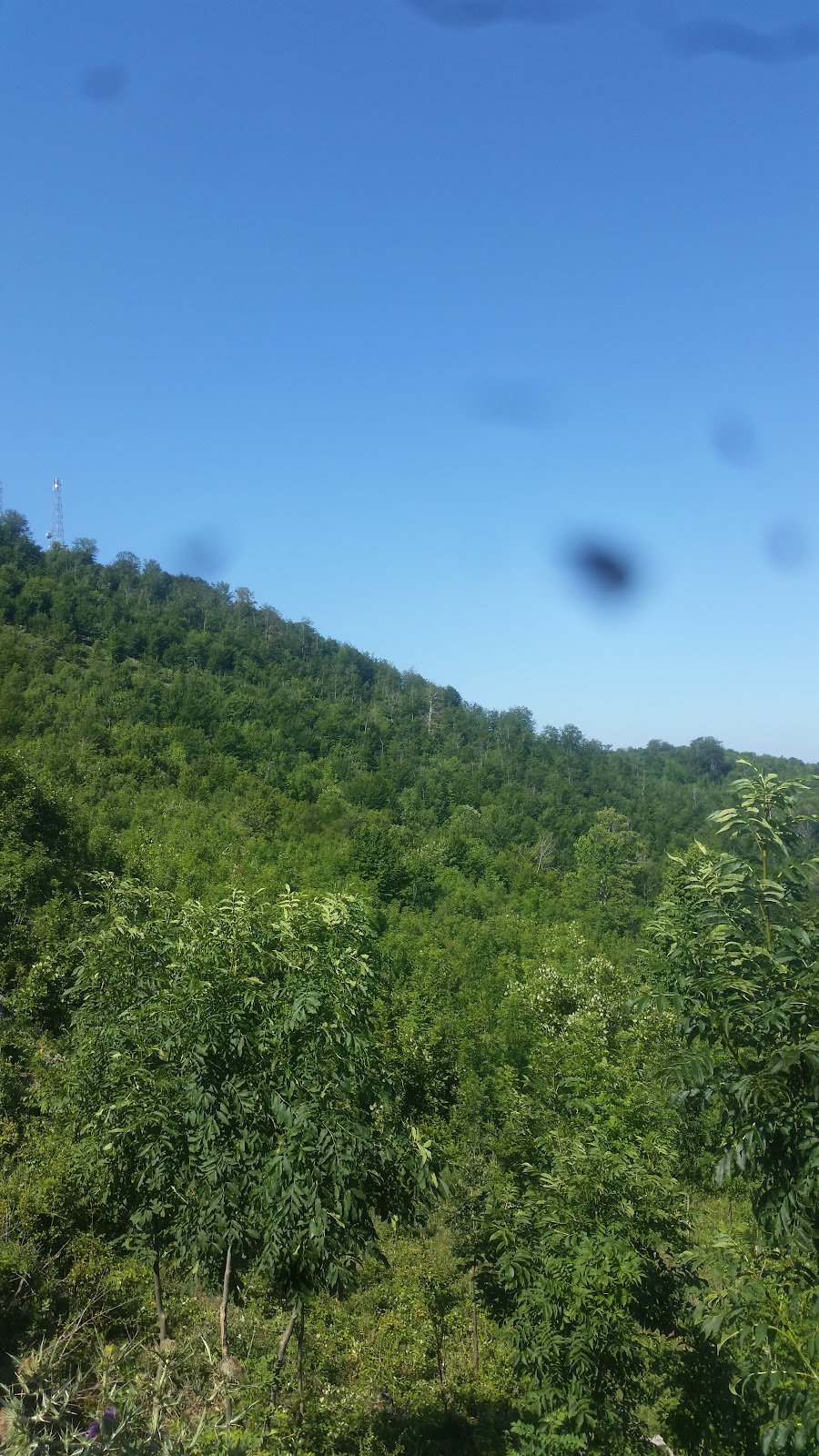 Deer Peak Hostel photo 4