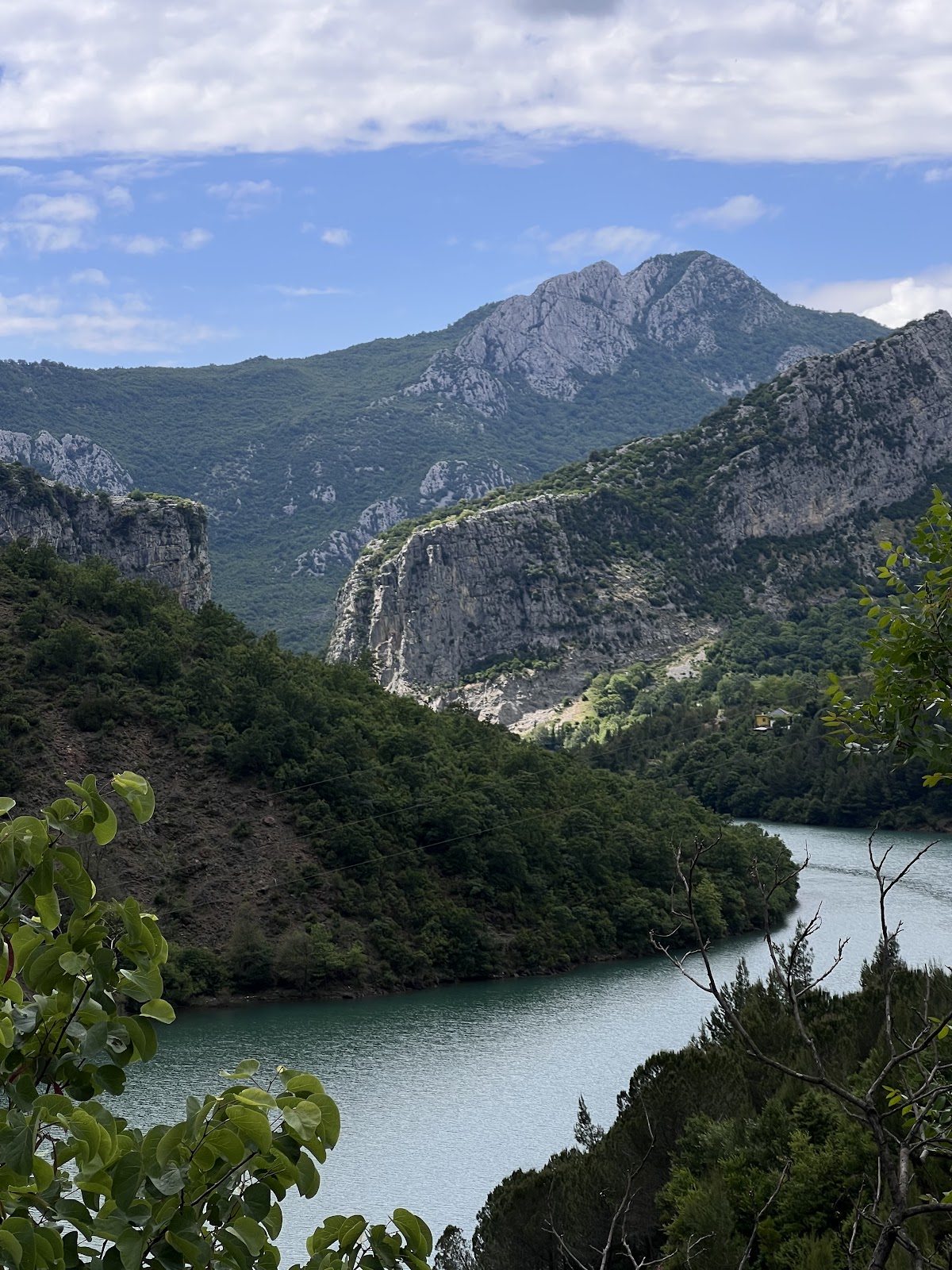 Suspension bridge photo 5