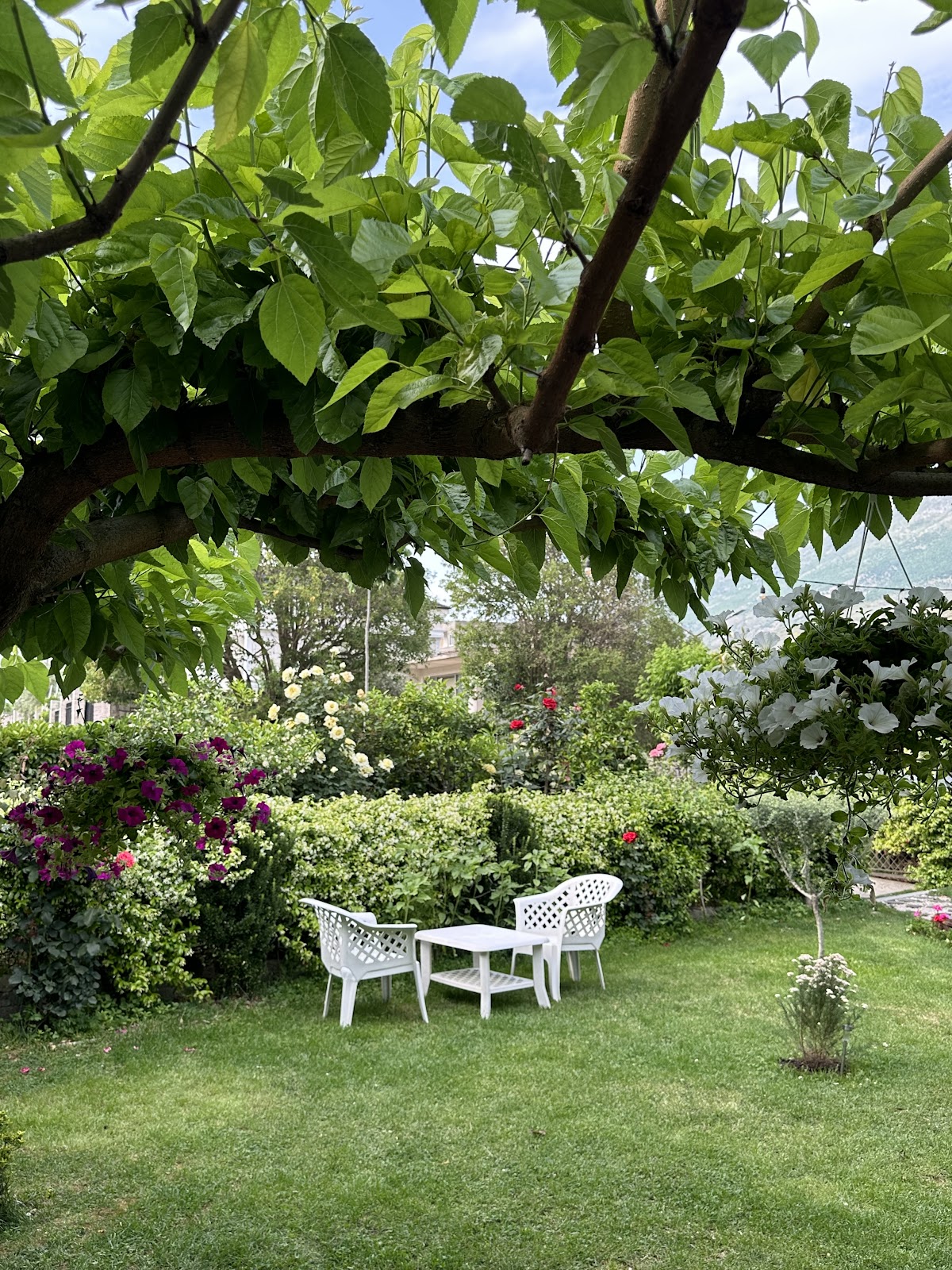 Univers Garden photo 4