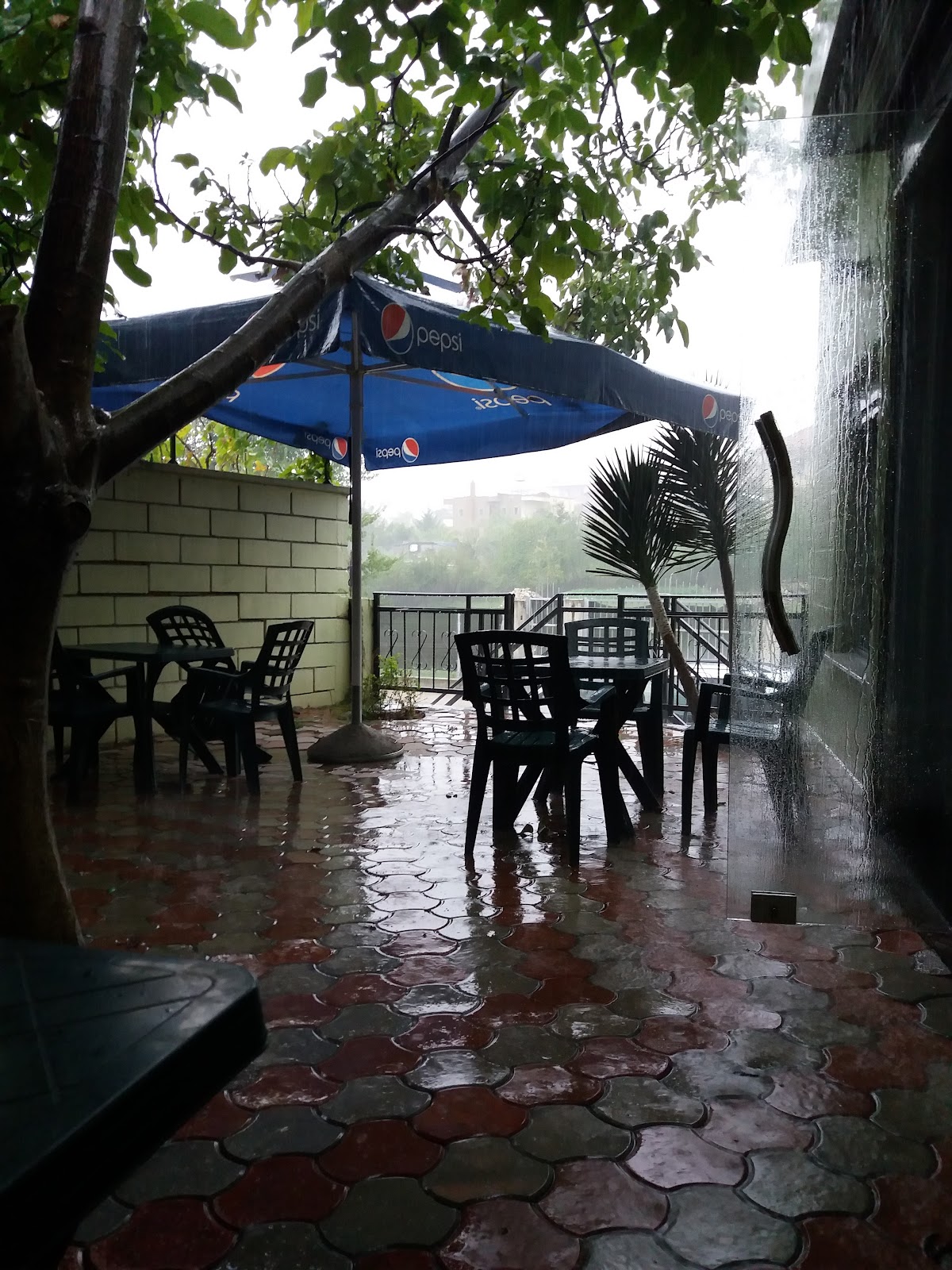 Bar Kafe "Te Arra" photo 2