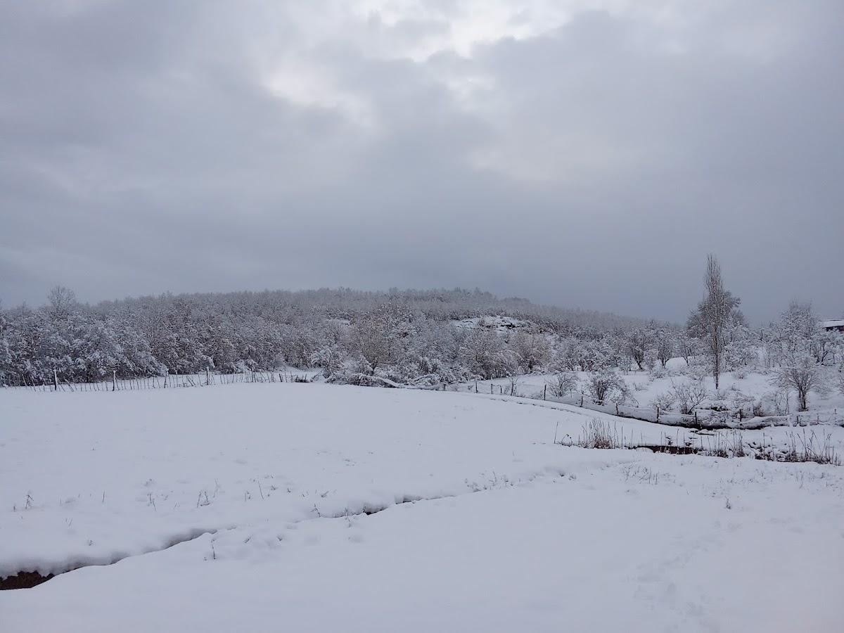Lake of Nikë – Private Park photo 2