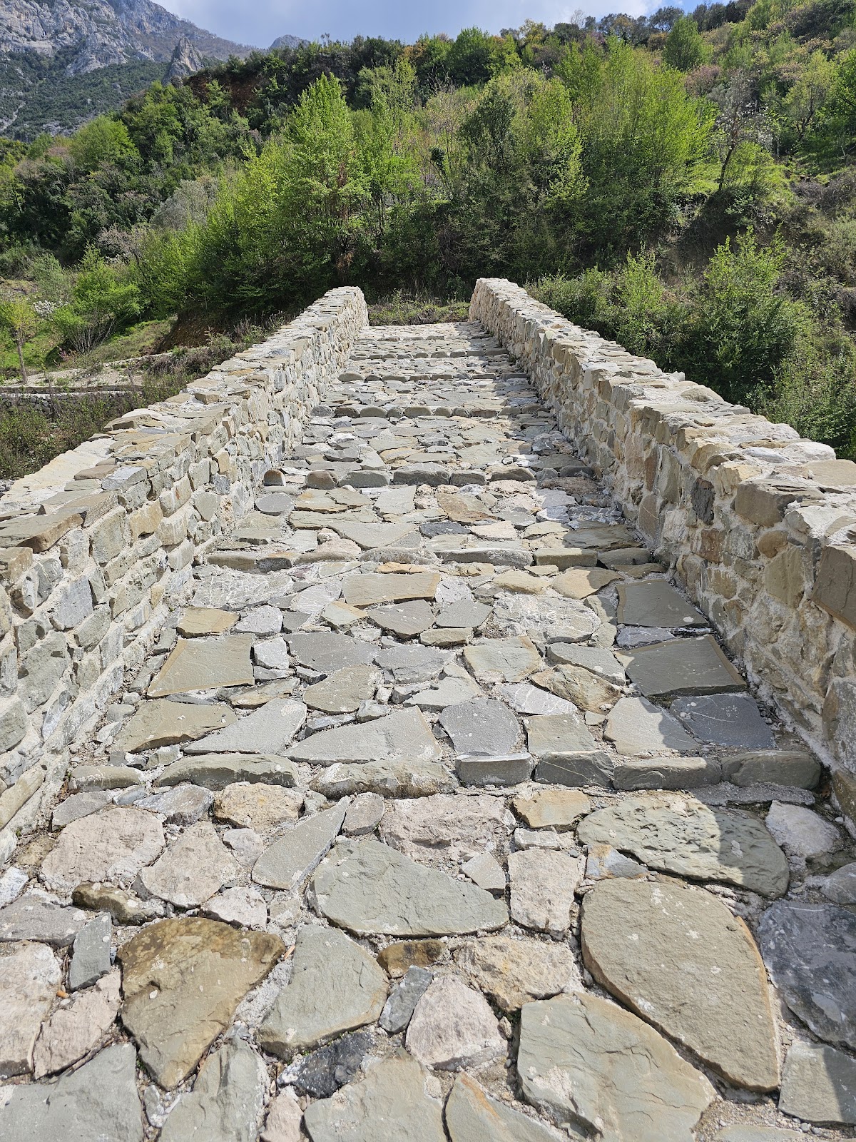 Ottoman bridge photo 5